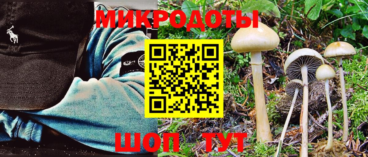 Ростов-на-Дону  Галлюциногенные грибы прущие грибы  Вход с VPN 